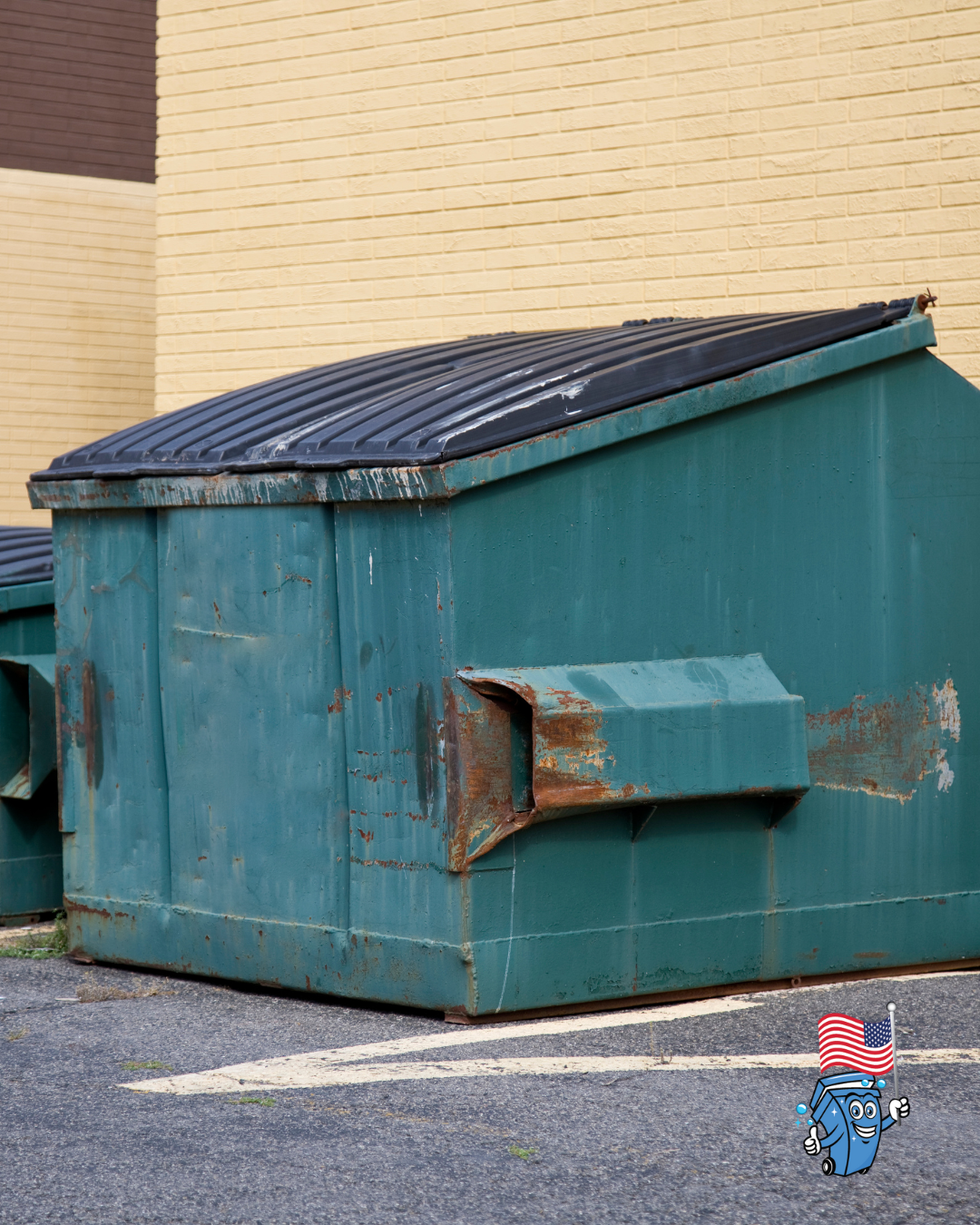 Commercial Trash Bin Cleaning